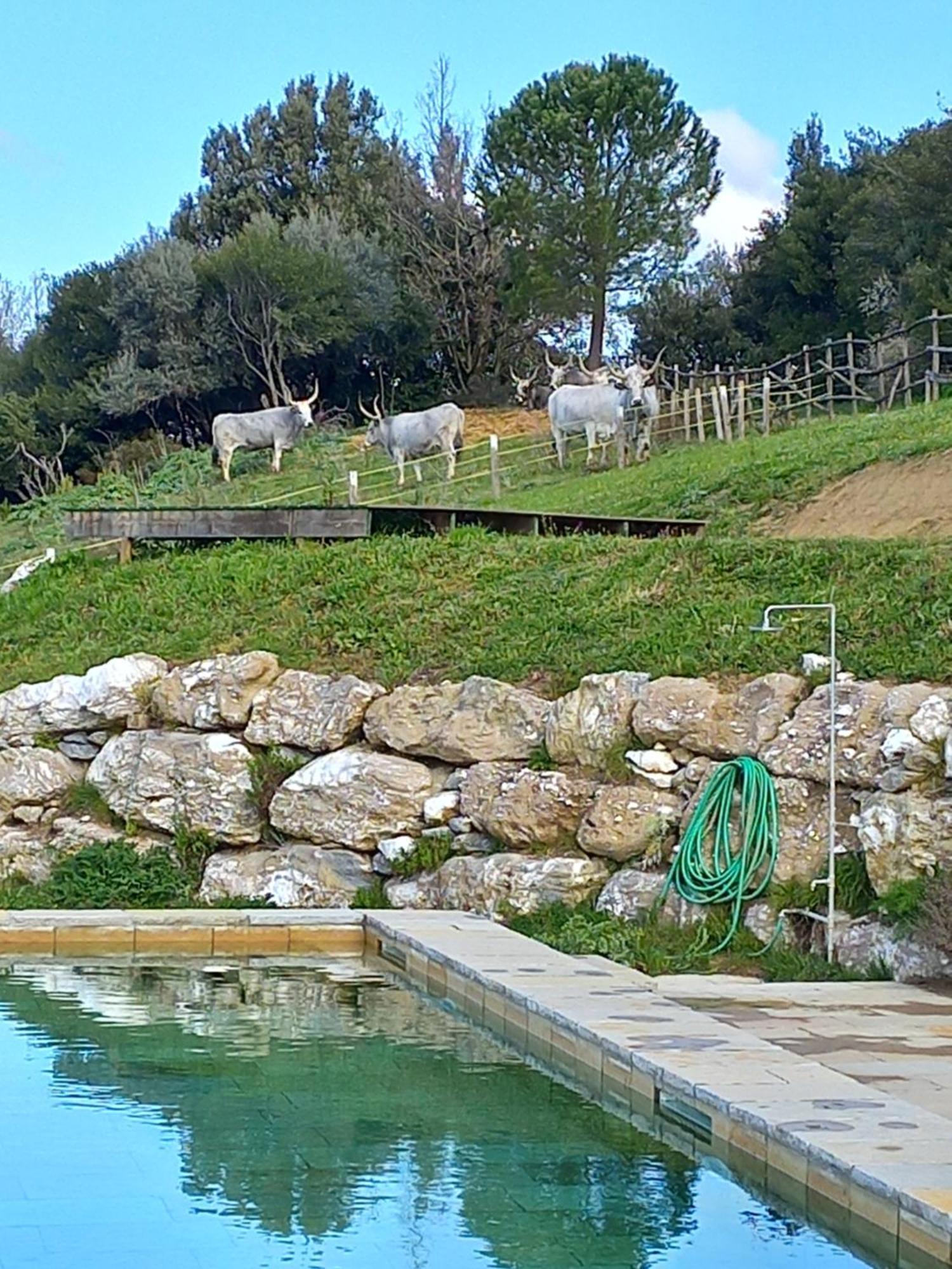 Case Di Gello Montecatini Val di Cecina Luaran gambar
